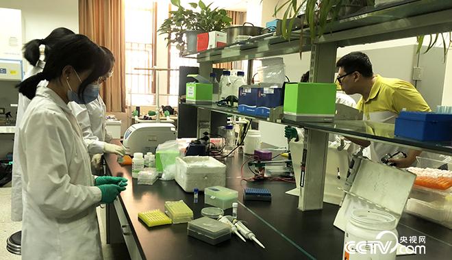 (Academician Kang Zhensheng explains agricultural research in the laboratory. CCTV reporter Di Chenchen/photo)